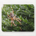 Mousepad del ~ de la araña de jardín tapetes de raton