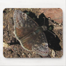 Mousepad del ~ de la mariposa de Duskywing Tapetes De Ratón