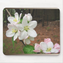 Mousepad del ~ de los flores de Apple Alfombrilla De Ratones