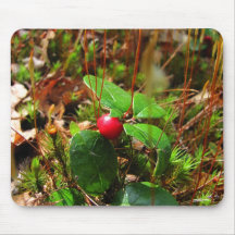 Mousepad del ~ de Wintergreen Tapete De Raton