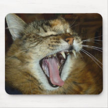 Mousepad del gato de coon de Maine 2 Tapete De Ratón
