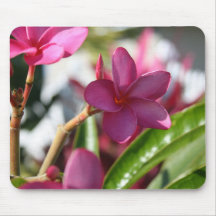 mousepad del plumeria alfombrillas de ratones