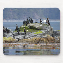 Mousepad Eagle calvo Tapete De Raton