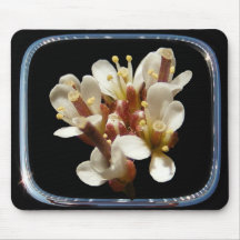 Mousepad enmarcado del ~ del Wildflower 36 Alfombrilla De Ratón