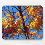 Mousepad - follaje de otoño alfombrillas de raton 