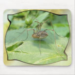 Mousepad largo del ~ de las piernas del papá tapetes de ratón