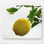 Mousepad - limón mojado en la lluvia alfombrillas de raton 