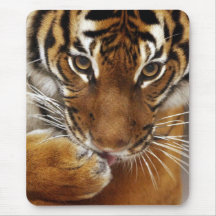 Mousepad malayo del tigre #1 tapetes de raton
