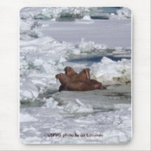 Mousepad/morsa que descansa en la bolsa de hielo alfombrilla de ratones