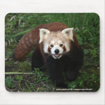 mousepad - panda roja tapete de ratón