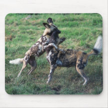 Mousepad - perro pintado
