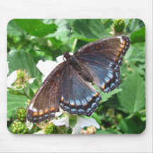 Mousepad púrpura del ~ de la mariposa tapete de ratón