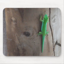 mousepad realista del lagarto