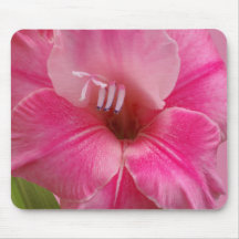 Mousepad rosado del gladiolo alfombrillas de raton