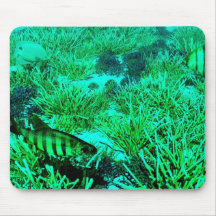mousepad subacuático de la escena