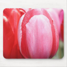 Mousepad Tapetes De Ratón