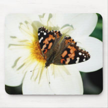 Mousepad Tapetes De Ratones