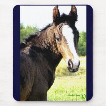 Mousepads de ojos azules del potro tapete de ratones