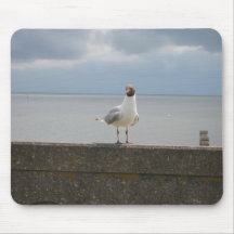 Möwe auf der Mauer Nordsee Mauspad