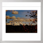 Mt. Raineer por la tarde Poster