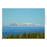 Mt. Susitna Tarjeton