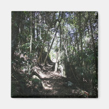 Mt Tamborine #2 Imán De Frigorífico