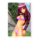 Muchacha del animado del bikini posters