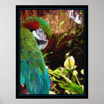 Muchacho bonito posters