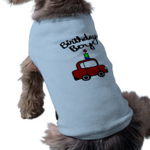 Muchacho del cumpleaños con la vela y el coche roj camisa de perro