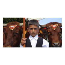 Muchacho y bueyes tarjeta con foto personalizada