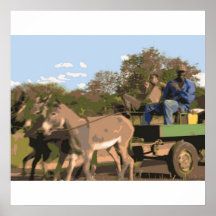 Muchachos del burro poster
