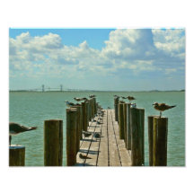 Muelle de la ampliación de la foto de las gaviotas