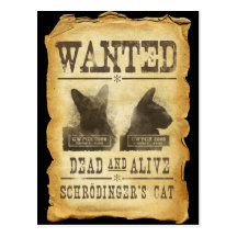 Muertos y vivo queridos.  El gato de Schroedinger Postal