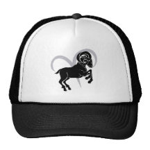 Muestra de la astrología del horóscopo del zodiaco gorro