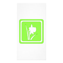 Muestra verde de la primavera tarjetas fotográficas 