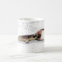 mug: sea león taza