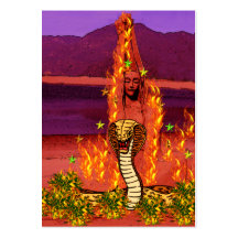 Mujer de la serpiente del fuego tarjetas de visita