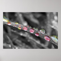 Multicolor drops gouttes colorées Gota colorful Impresiones