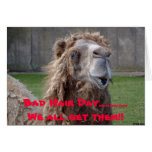 Mún día del pelo, mún día del pelo ............. n felicitación
