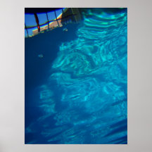mundo del agua poster