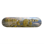 Mundo del Midas Patines