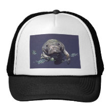 Mundo subacuático del Manatee Gorras