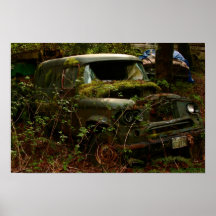 Musgo cubierto y abandonado impresiones