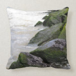 Musgo en la almohada de las rocas