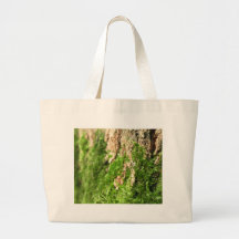 Musgo en la corteza de árbol bolsas lienzo