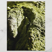 Musgo verde claro en tronco de árbol tarjetones