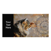 Música y tarjeta de la foto de los gatos tarjetas fotográficas 