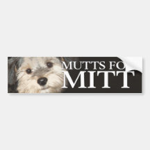 Mutts para Mitt Romney Etiqueta De Parachoque