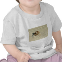, Muy, araña asustadiza, melenuda grande Camiseta