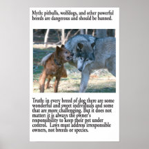 MythPoster: BSL